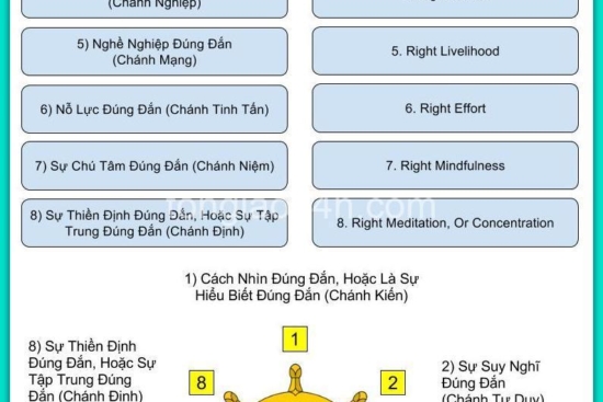 bat-chanh-dao.jpg