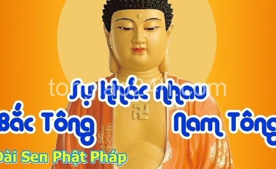 phan-biet-phat-giao-nam-tong-bac-tong.jpg